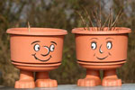 Flowerpots